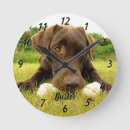 Recherche de chocolat horloges Chien