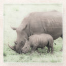 Recherche de rhinocéros dessous de verres Africain
