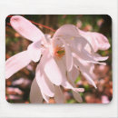 Recherche de magnolia tapis souris Fleur