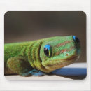 Suche nach typen mousepads Natur