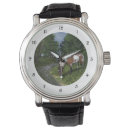 Recherche de paint montres Amateurs de chevaux