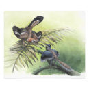Recherche de évolution posters Dinosaures