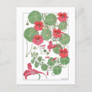 Suche nach antique postkarten Blume
