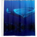 Suche nach mantarochen Ozean