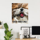 Suche nach tzu poster Lustig