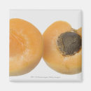 Recherche de mûr magnets Vie