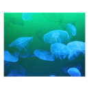 Suche nach atmosphärisch poster Blau