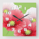 Recherche de pavots horloges Nature