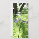 Recherche de minuscule photographie Floral