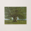 Suche nach realismus puzzle Landschaft