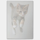 Suche nach leute post it Babytiere