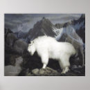Suche nach wilde ziege poster Fotografie