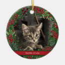 Suche nach grüntöne ornamente Rote beeren