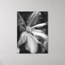 Suche nach clematis kunst Fotografie
