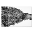 Suche nach hecke poster Schnee
