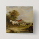 Suche nach graues pferd buttons Pferde