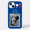 Recherche de de chien coques Chat