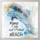 Suche nach delphine im meer poster Zuhause