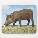 Suche nach ferkel mousepads Tiere