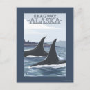 Recherche de orques cartes postales Baleines