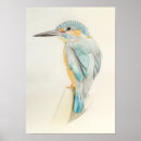 Suche nach beautiful poster Drawing