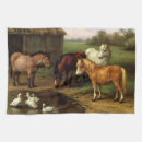 Suche nach ponys wohnen zuhause Scheune