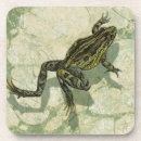 Suche nach amphibie untersetzer Frosch