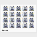 Recherche de chat russe autocollants Nebelung