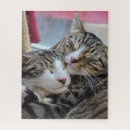 Recherche de câlin puzzles Chats