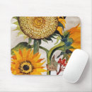 Recherche de graine tapis souris Botanique