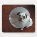 Suche nach armer mousepads Lustig