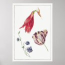 Suche nach vintage tulpen poster Pflanze