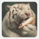 Recherche de tartes autocollants Toute personne