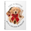 Suche nach goldene retriever kleine notizbücher Foto