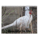 Suche nach kardinal kalender Spechte