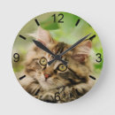 Suche nach maine coon cat kunst Kätzchen