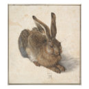 Recherche de dürer posters Lapin