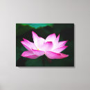 Suche nach lotus leinwandbilder Rosa
