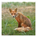 Suche nach 12x12 kunst Foto
