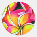 Recherche de frangipani autocollants Plage