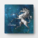 Recherche de licorne plaques Illustration