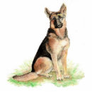 Recherche de bergers photo sculptures Animal