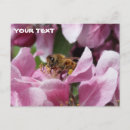 Recherche de abeille fleur cartes postales Pollinisant
