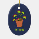 Suche nach venus ornamente Pflanze