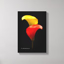 Suche nach calla leinwandbilder Flora