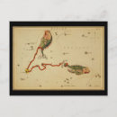 Suche nach astrologie postkarten Astronomisch