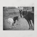 Recherche de pince cartes postales Noir et blanc