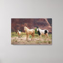 Recherche de daim posters Animal