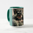Suche nach miniature schnauzer tassen Miniaturschnauzer