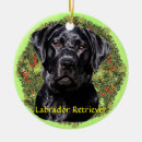 Suche nach köpfe ornamente Hunde